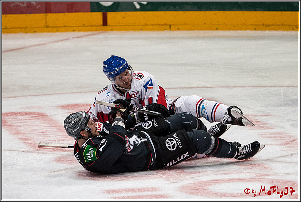 DEL, Koelner Haie - Adler Mannheim, 05.02.2017